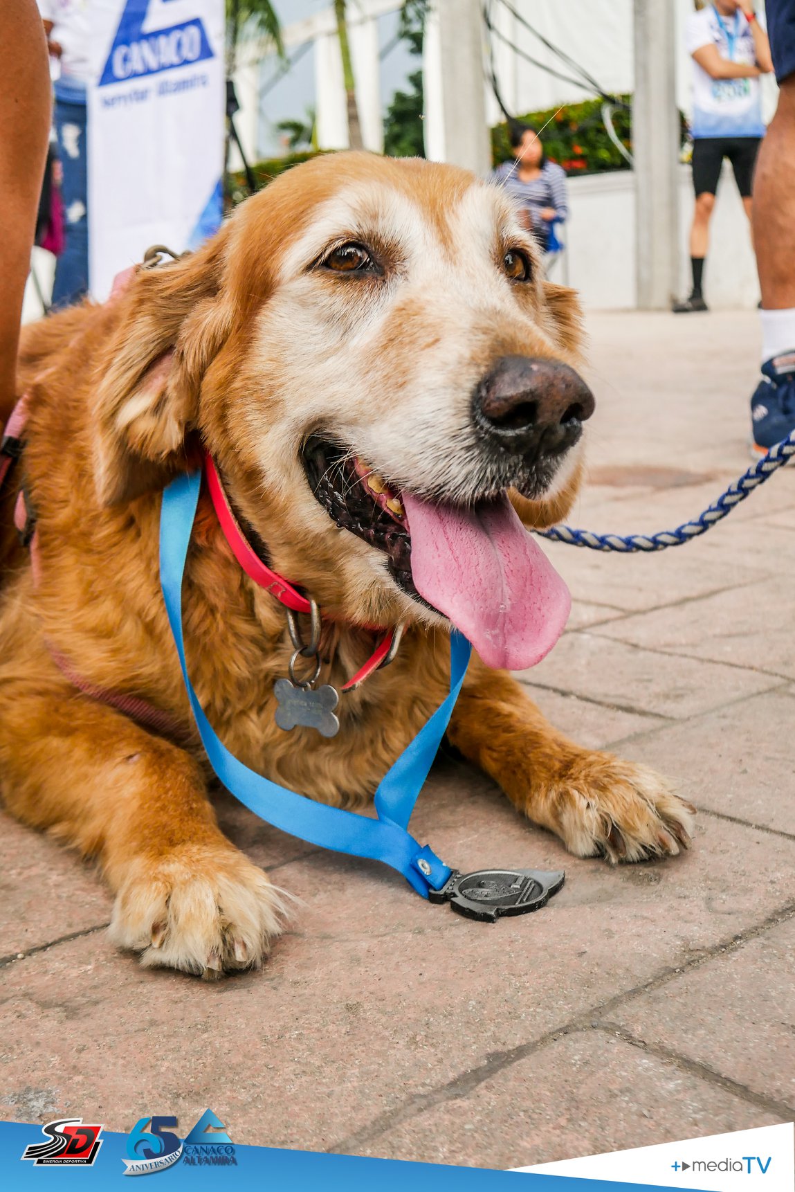 2274265506013475 987135535053012992 o