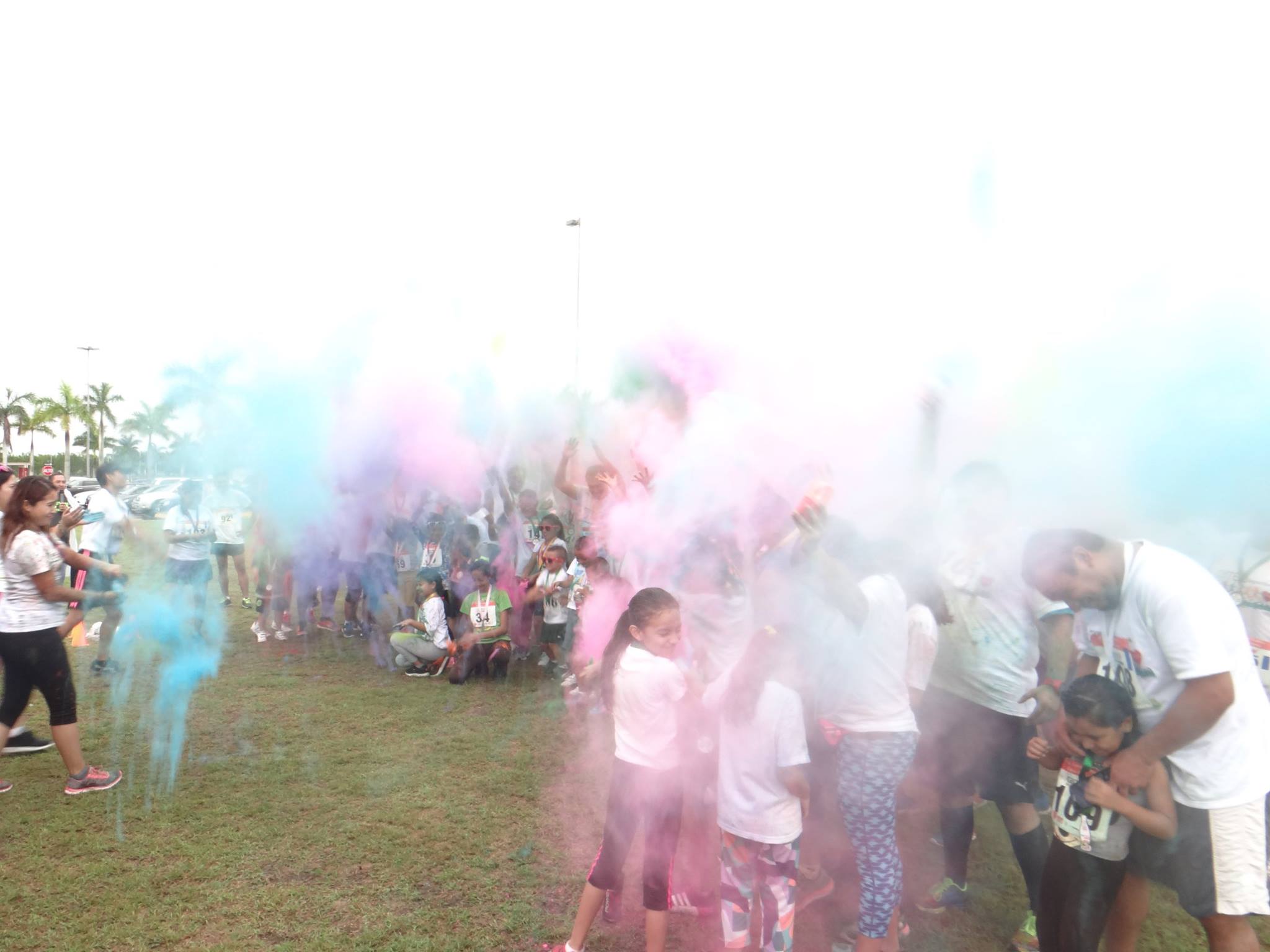 1180118678761502 1876369907529648702 o