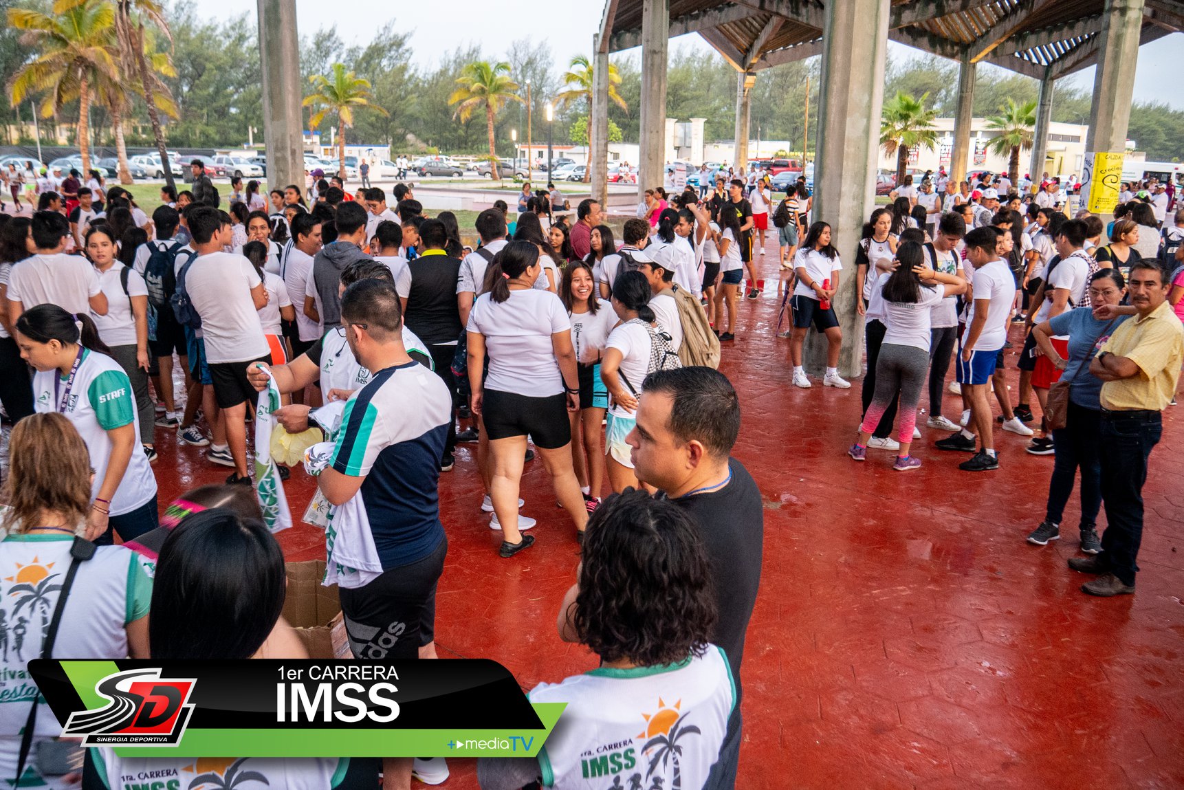 2152771288162898 8929222418380095488 o