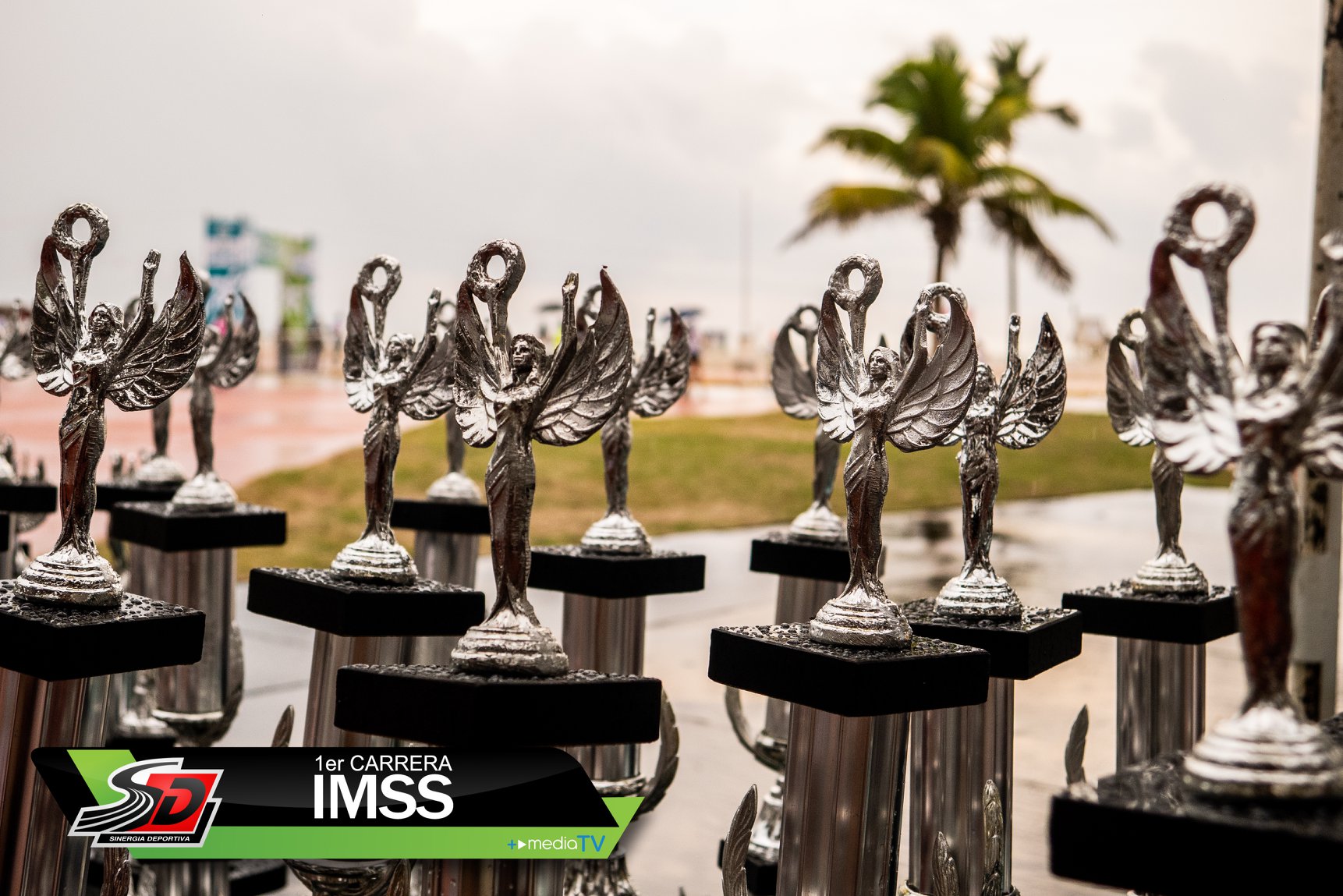 2152765381496822 791010225757880320 o