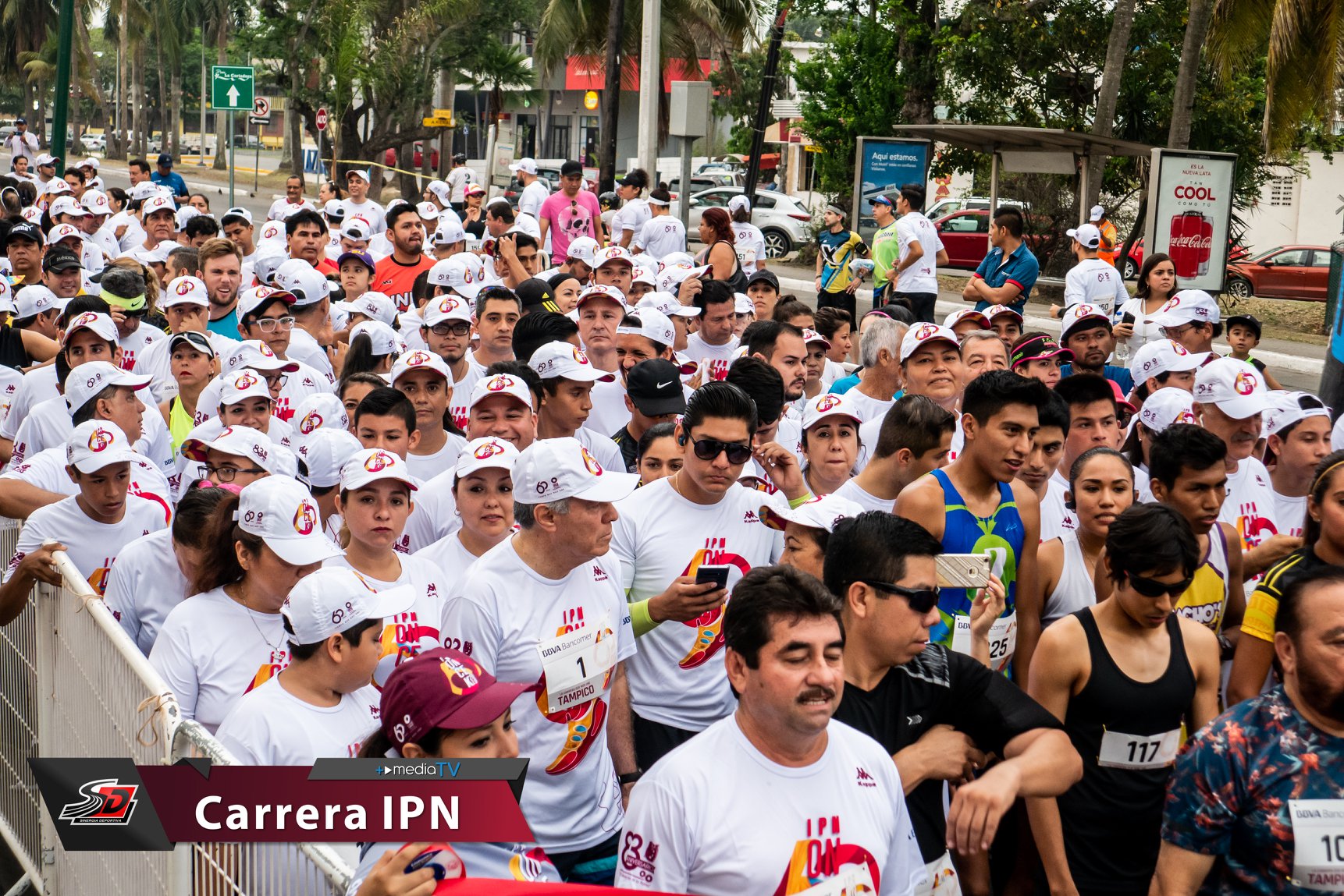 1932385780201451 7780510445579796480 o