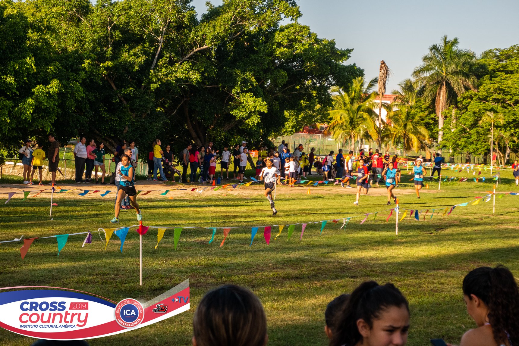 2163862723720421 8719792331194105856 o